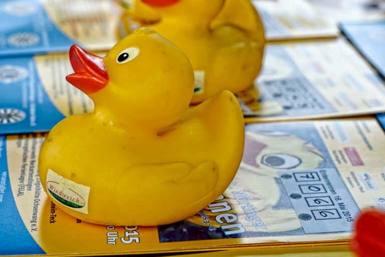 Nürtinger Entenrennen in Sicht Die Enten sind los: Am Samstag, 4. Mai, wetteifern die gelben Quietschetierchen in Nürtingen um den Sieg auf dem Neckar.