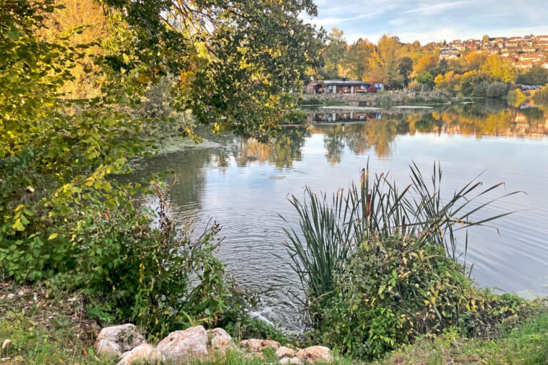 Nach dem Fischsterben gibt es am Inselesee in Neckarhausen eine Lösung